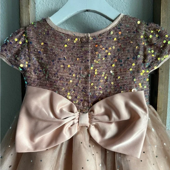 Blueberi Blvd. Iridescent Mauve & Light Pink All Over Sequined Tulle Dress  4T